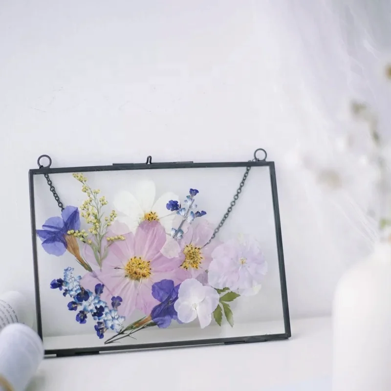 High Quality Glass 4x6 5x7 8x10inch Plant Floating Picture FramesDiy Frames Specimens Frame