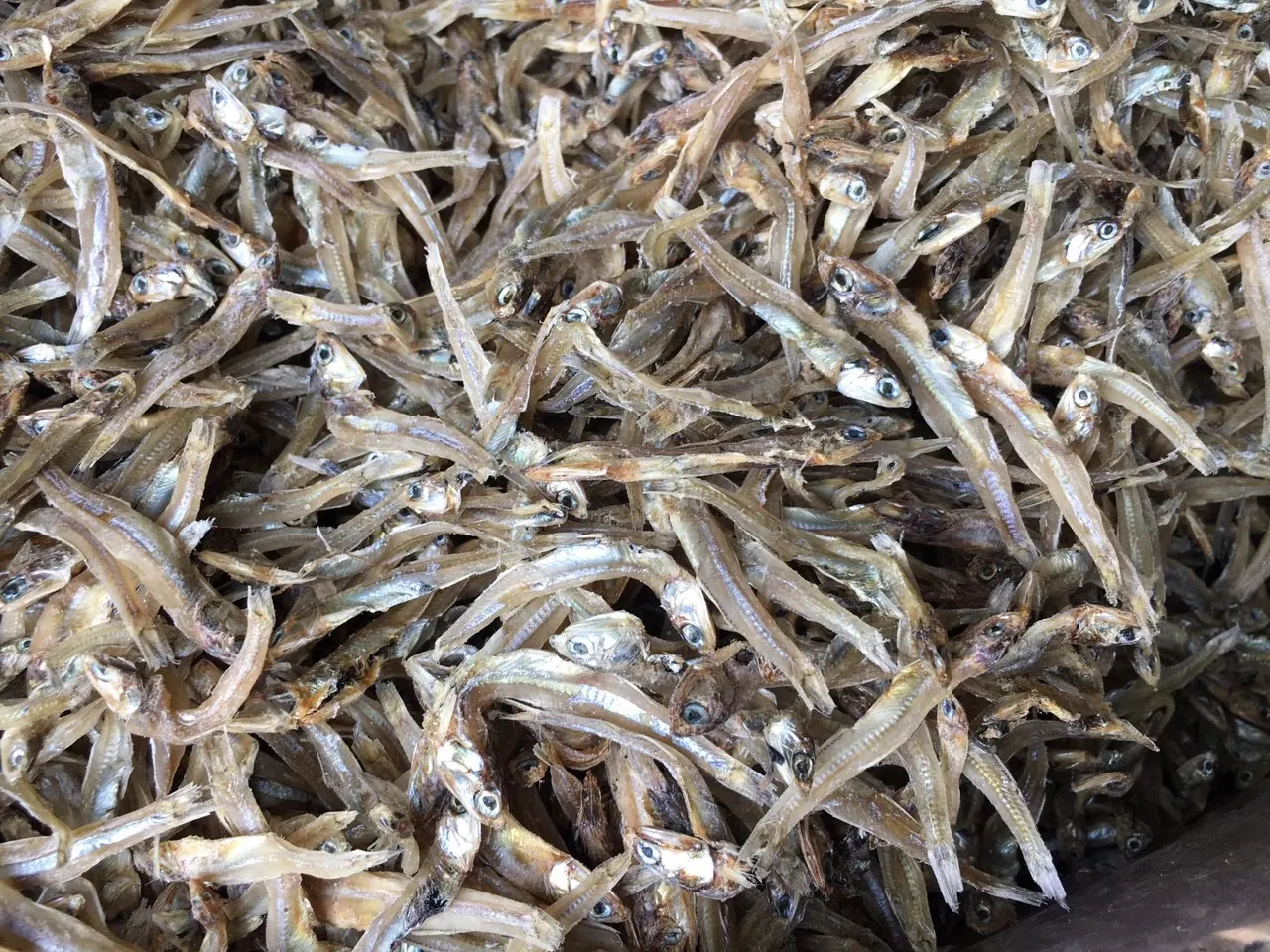 VIETNAM DRIED ANCHOVY FISH/ SPRATS NATURAL SUN DRIED (Anchois) FISH DRIED SEAFOOD- LINDA WHATSAPP: 0084 989 322 607