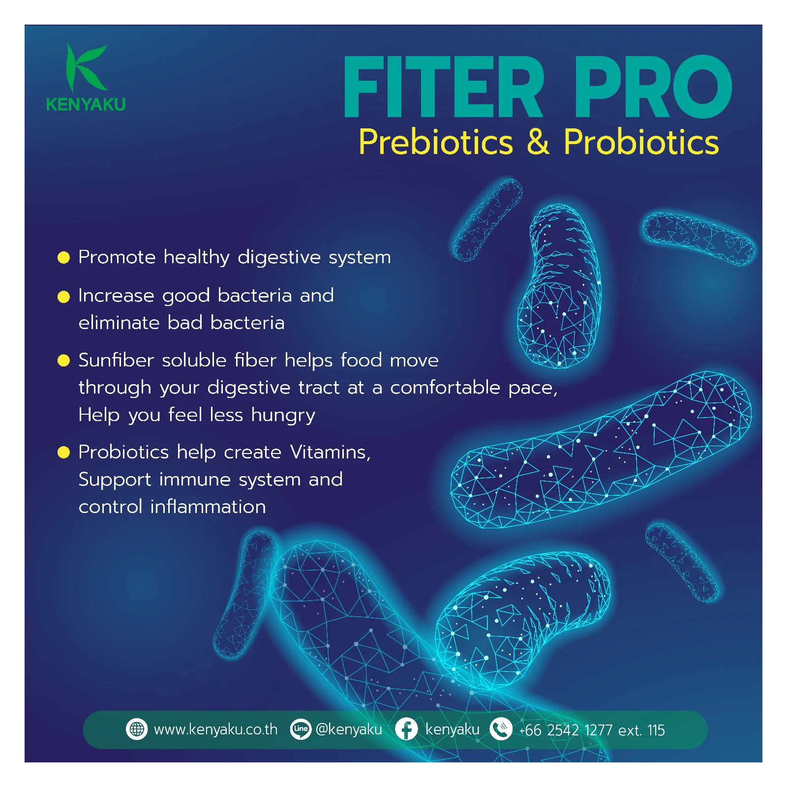 Порошковая форма способствует здоровому пищеварительному системе FiterPro пробиотики и пребиотик для здорового пищеварения кишечника