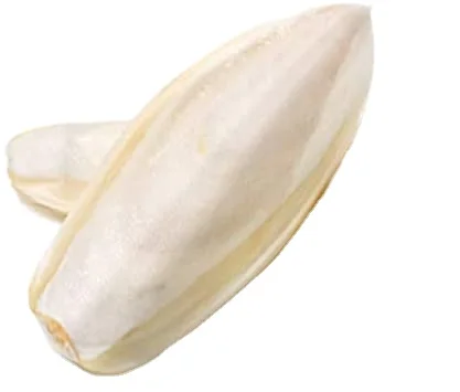 High Quality Vietnam Dried Cuttlefish Bone For Pet Toy Customized Packed