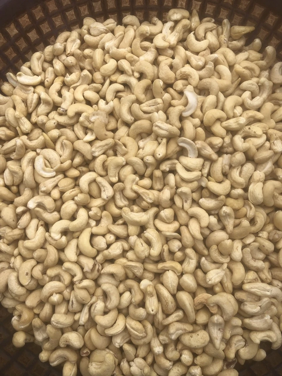 Vietnam Manufacturer Small Pieces Cashew Nuts Dried Raw Cashew Kernel w240 w320 w450