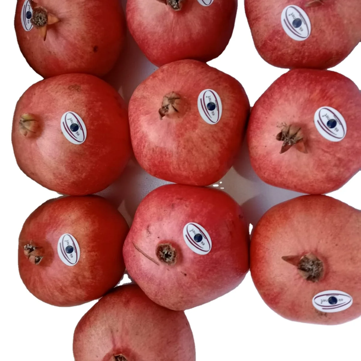 Обычный гранат с завода для прямой продажи