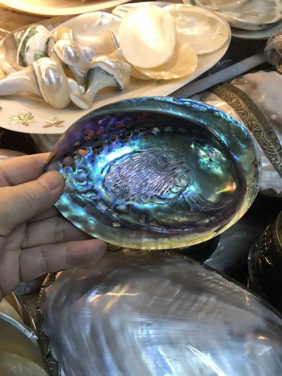 Raw Abalone Shell Art Polished Shell Vietnam Handmade Raw Abalone Decorative Shell Astray - OEM, ODM HJ ASH 001 130mm*50mm