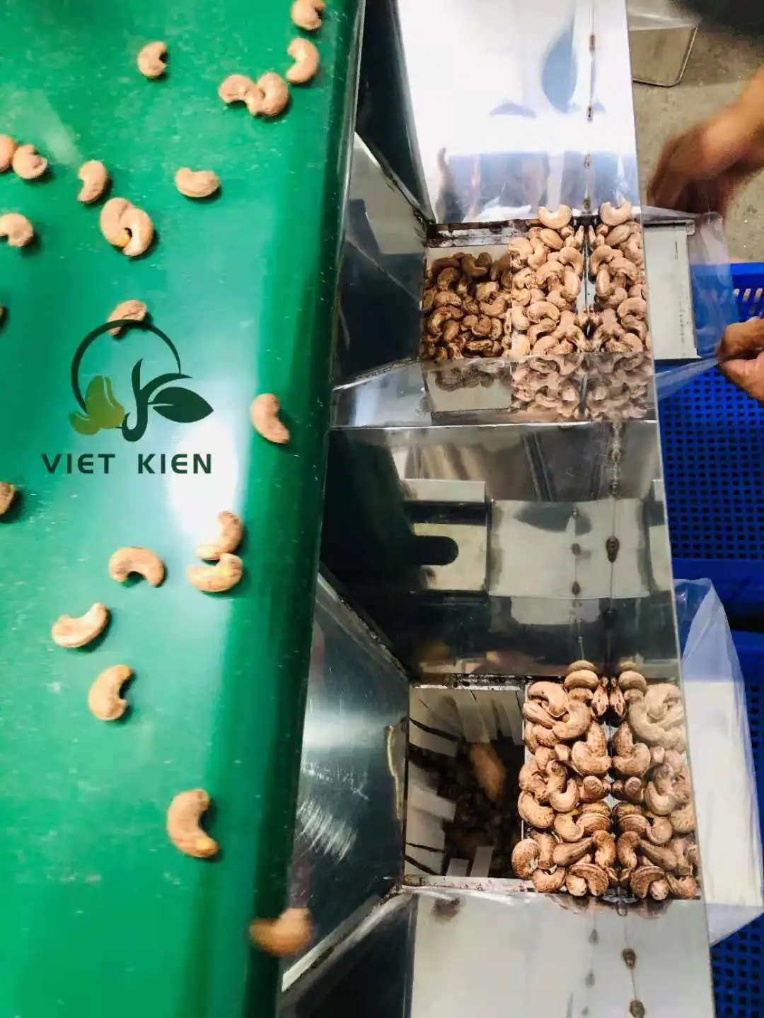 ROASTED SALTED CASHEW KERNELS A 320 500g/box cashew  2022 year VIETNKIEN roasted cashew A180 A320 A210 A240 W320 WW320 WW240 W24