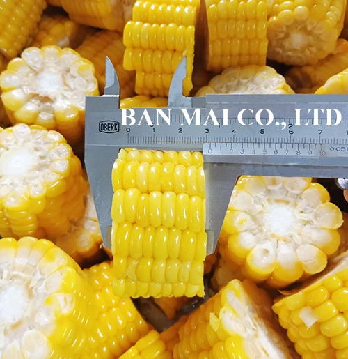 Vietnam high quality frozen sweet corn cobs