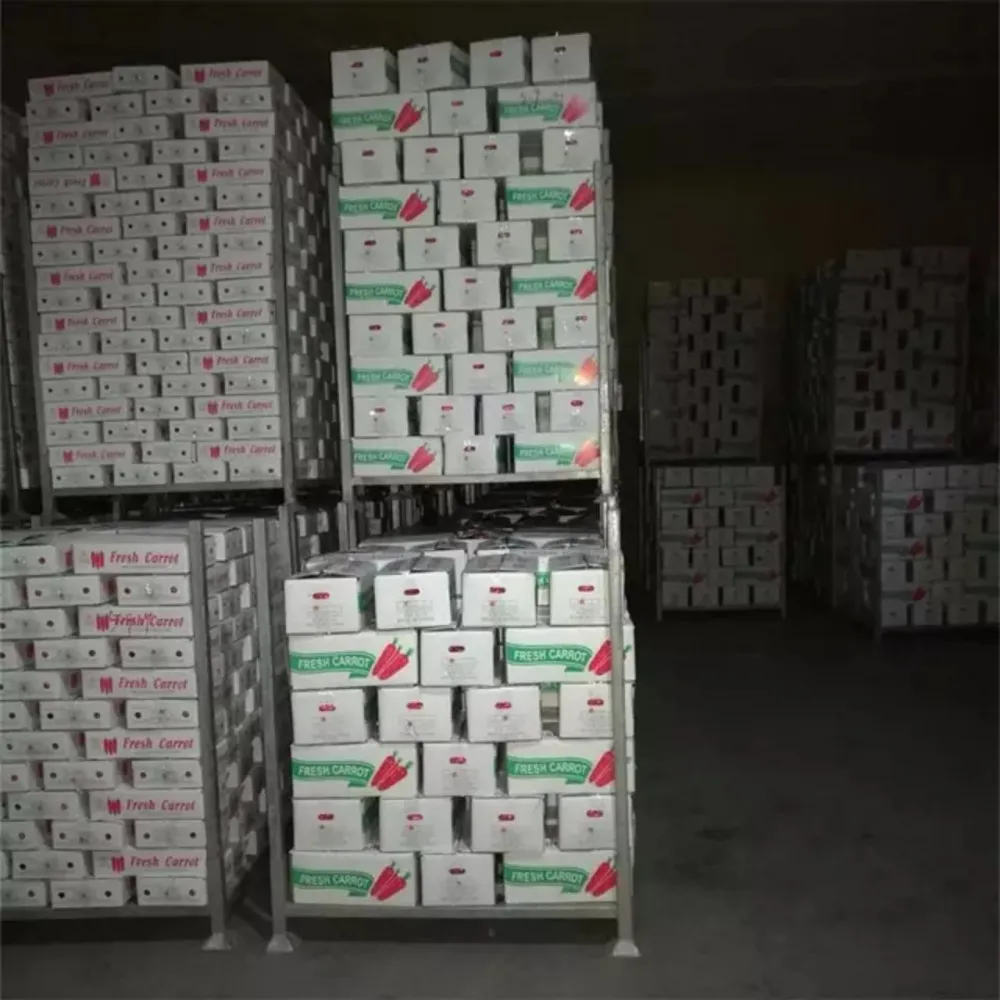 Свежая морковь carrotfresh цена экспорт оптовая упаковка 4 5 кг нетто (тел./whatsapp/ viber: 0084 989 322 607)