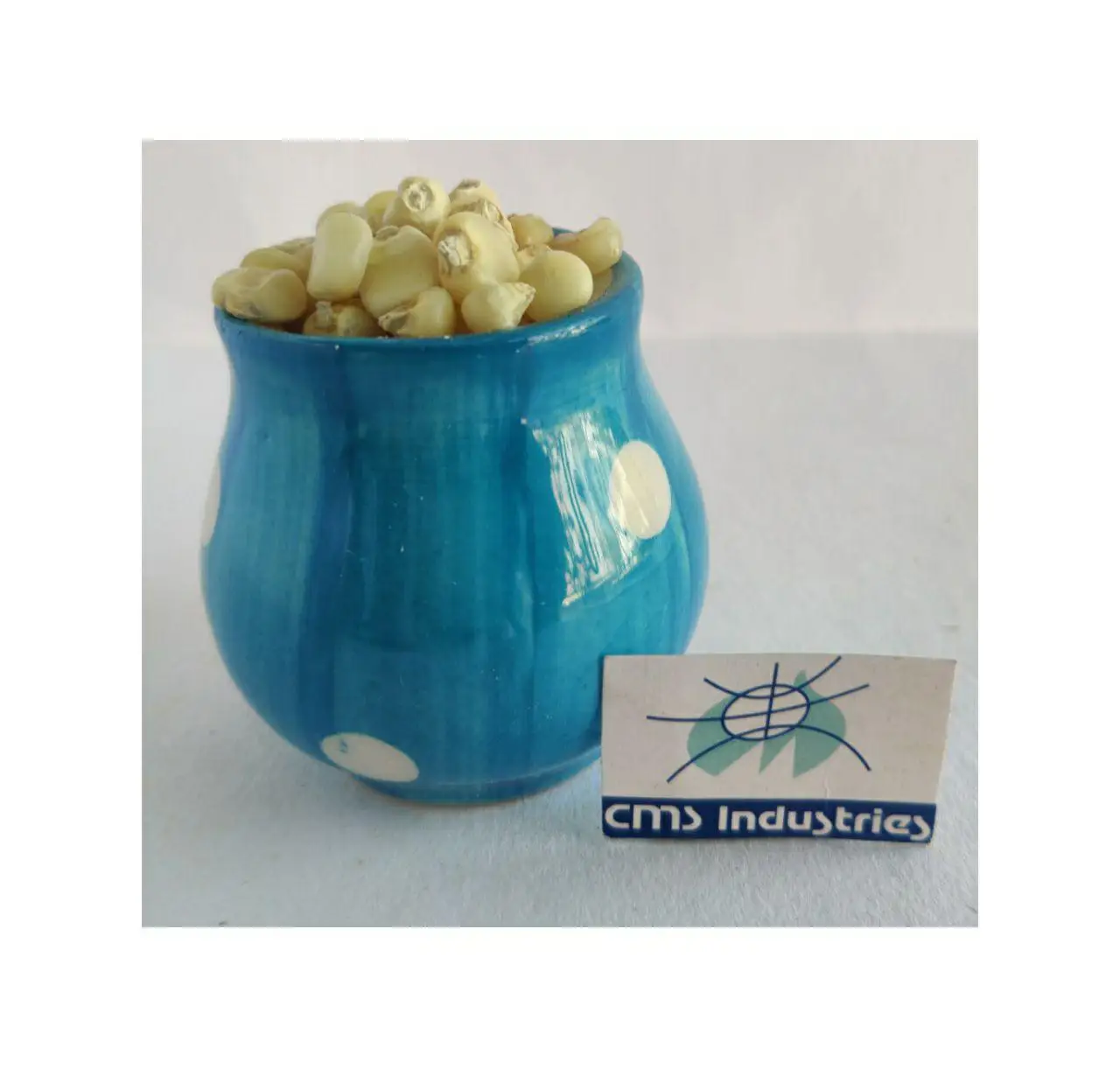 Process White Corn for Bird Consumption