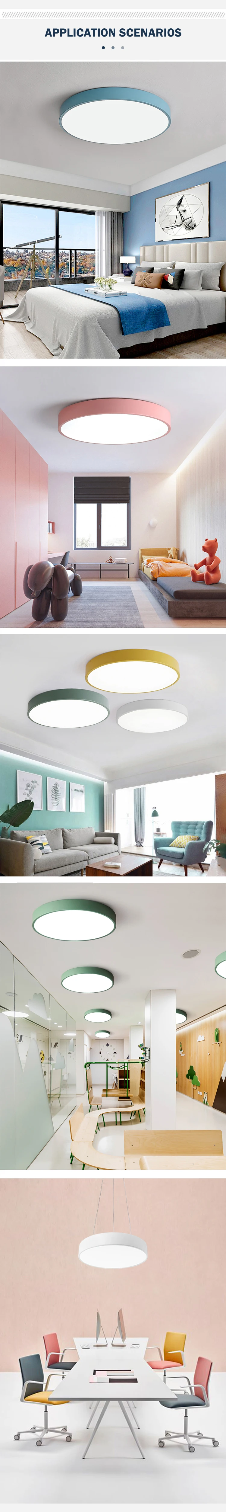 Ceiling light 8754  07.jpg