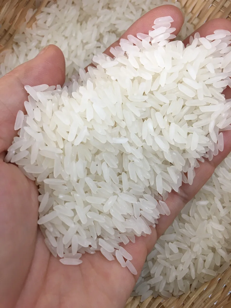 
Ready To Ship Popular Long Grain White Rice 5% Broken OEM Order Milled And Sortexed Rice 