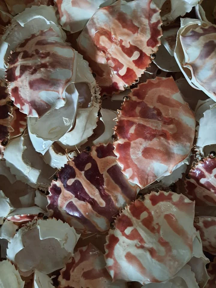 
Dried Crab shell for food Stuffed - CHARYBDIS NATATOR SHELL BIG SIZE FROM NATURAL SEA 