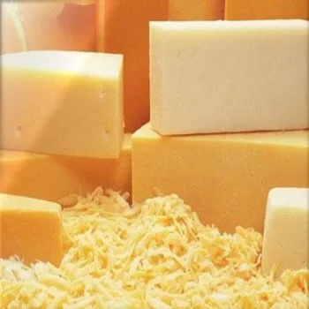 CHEDDAR CHEESE / Mozerella Cheese