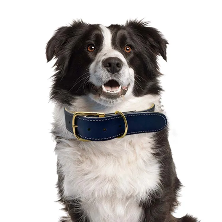 Luxury Classic Color Custom Colors Softly Leather Padded OEM Pets Dog Collars Design Collar