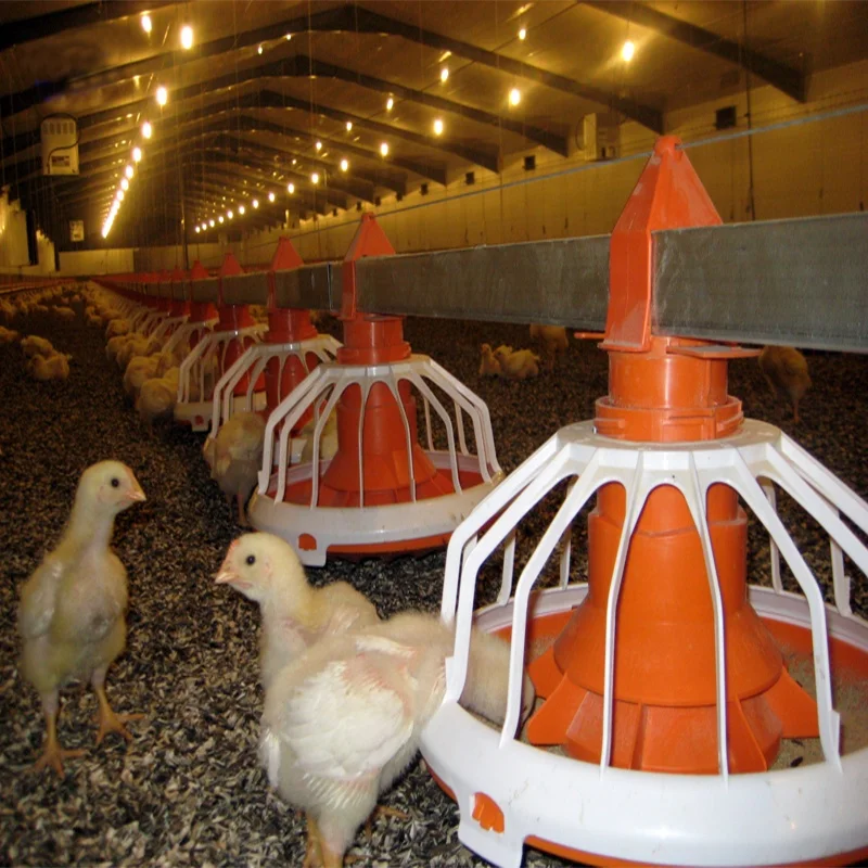 Low cost light steel structure poultry farm electric control chicken shed for sale