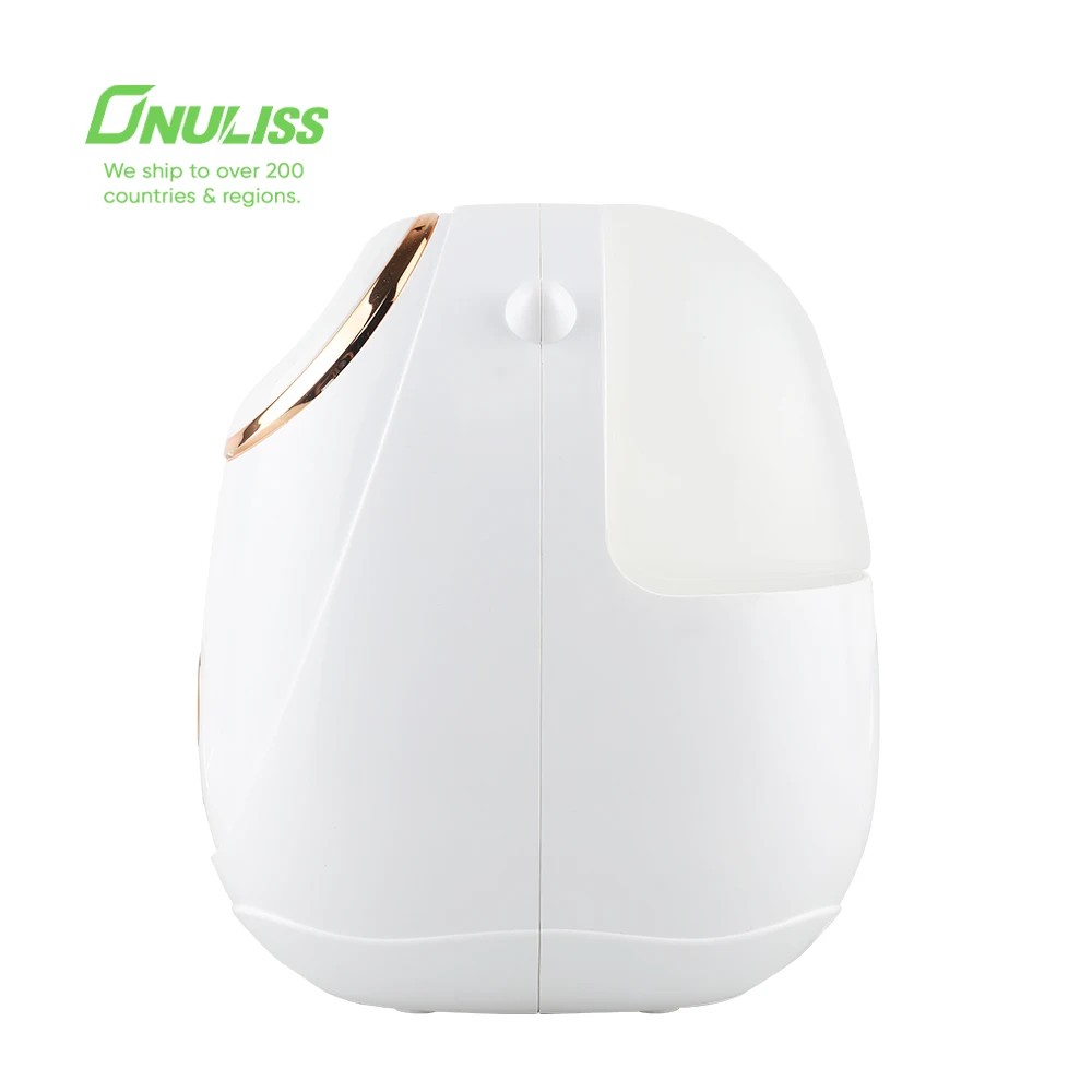 2 in 1 Tiny Facial Steamer Series Hot Nano Towel Warmer Mist Ionic Facial Spa Pink Facial Steamer with Lamp