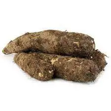 Top Quality Cleaning Fresh Long Taro Wholesale Price Fresh Long taro Vegetables Exporter