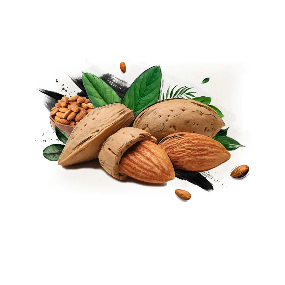 2021 Best Selling Almond Butter Machine Cake Nuts Almond Low Price Almond Butter