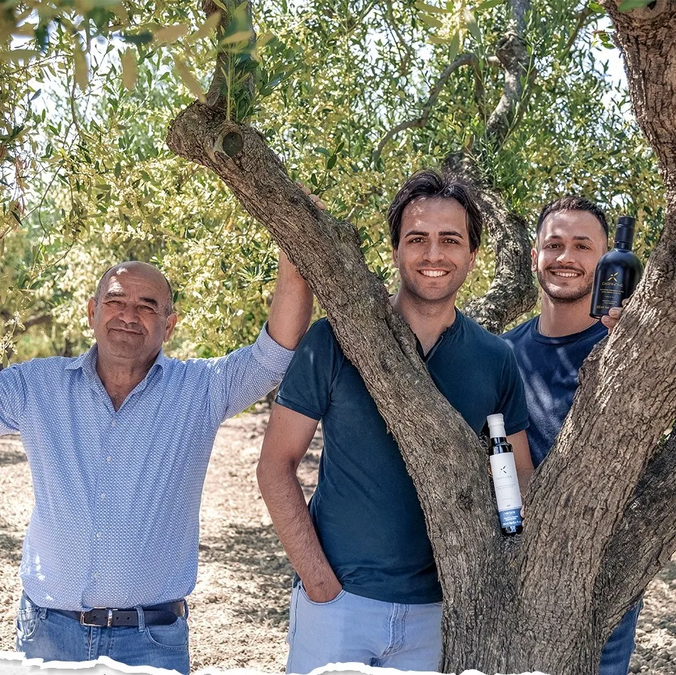 
High Quality Italy EXTRA VIRGIN OLIVE OIL medium for export 