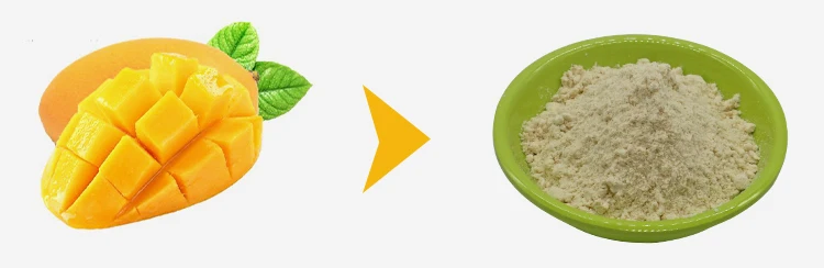 Хороший вкус низкая цена фруктовый порошок манго для экспорта органического Вьетнама