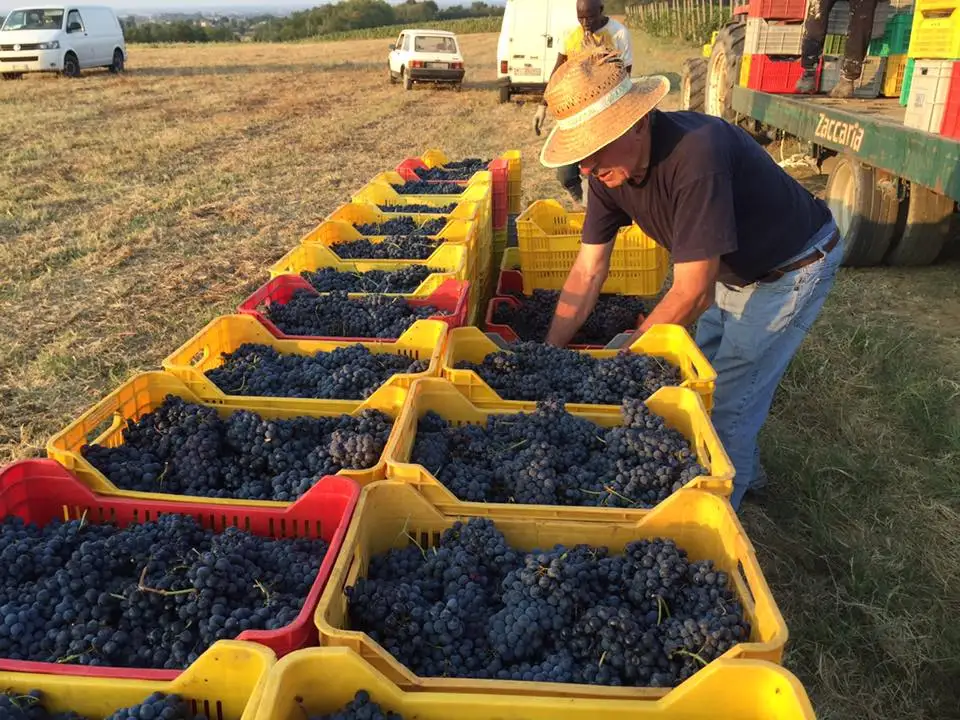 Красная итальянская винная стеклянная бутылка 0 75 л