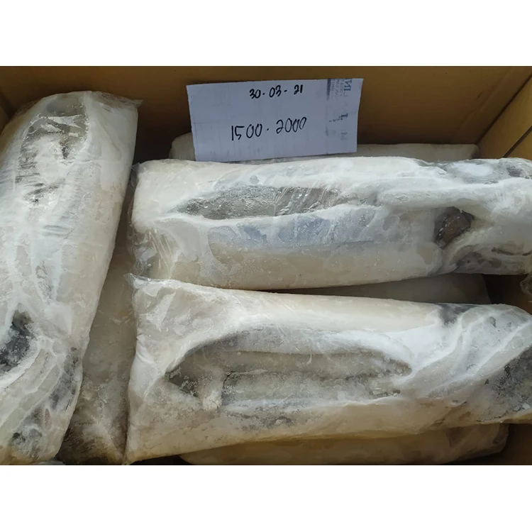 Clean HACCP Certified Seafood Supplier Cuttlefish