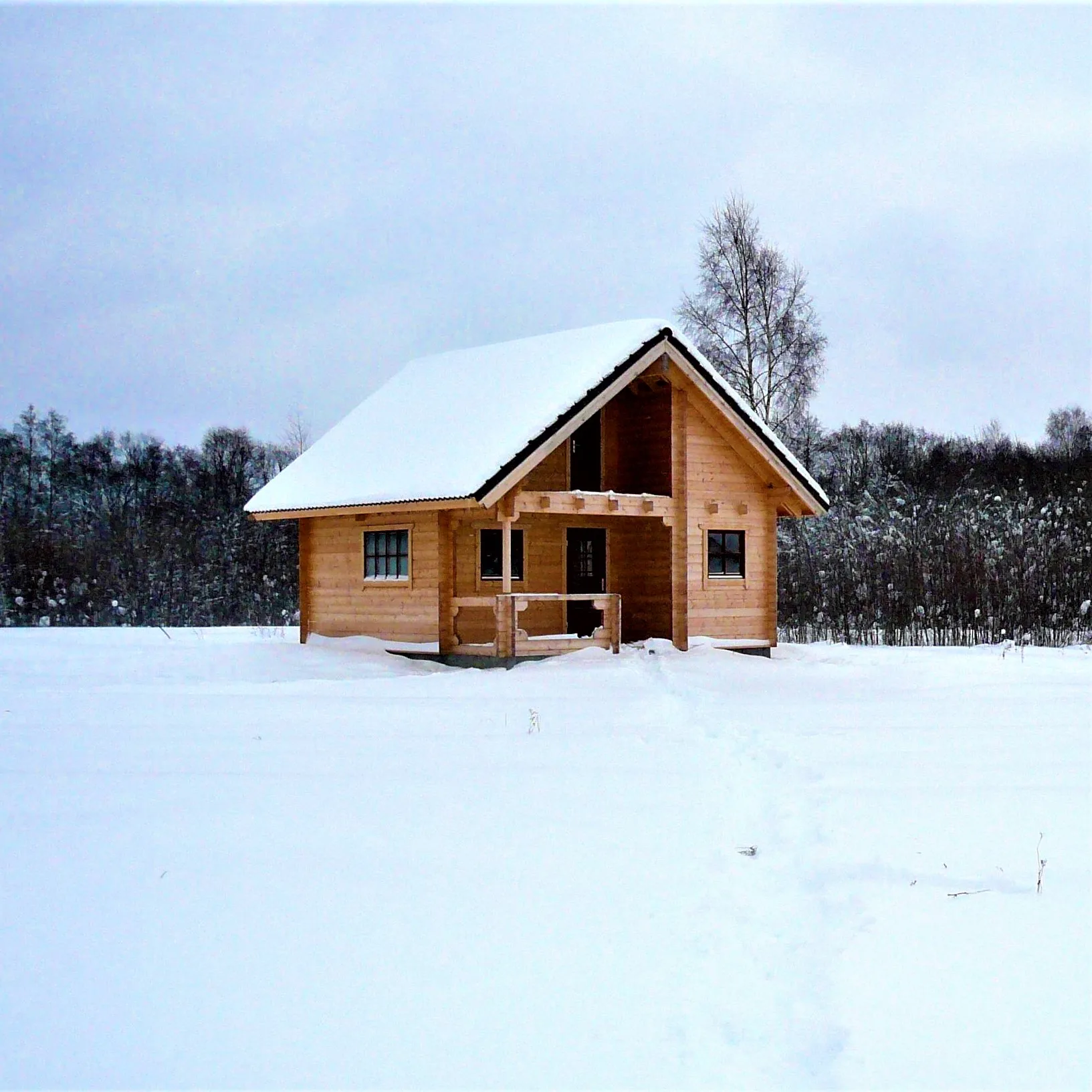 Сборный деревянный дом эстония ес плоский пакет