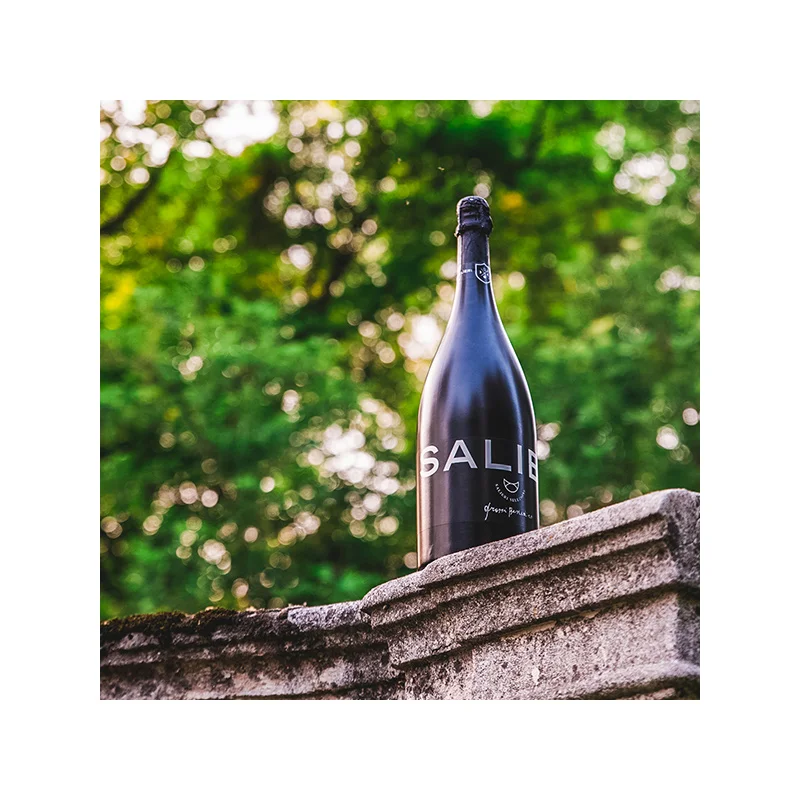 High Quality Made In Italy Salieri Prosecco Magnum Sparkling White Wine 1,5L 6pcs x Box For Sale