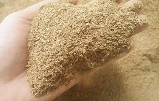 Wholesale beer residue/ brewer yearst powder/ beer residue powder +84 896626401