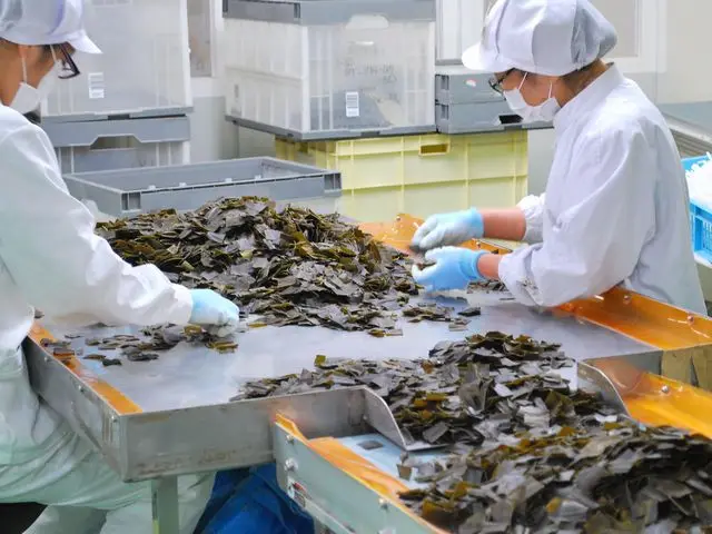 
Aged Kelp UMAMI Soup Stock 