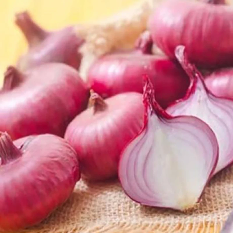 Shallot for Export / Fast delivery and Quick response / Wholesale from Vietnam