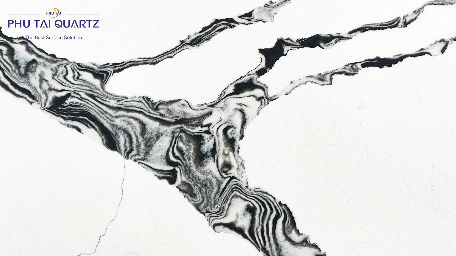 Quartz Calacatta Bolsena PT 902 Polished Slab high quality for kitchen countertop and home panel decoration by Phutai