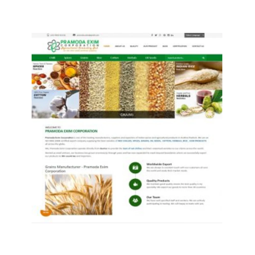 Shopify Website design and development ecommerce by Topaz Infotech