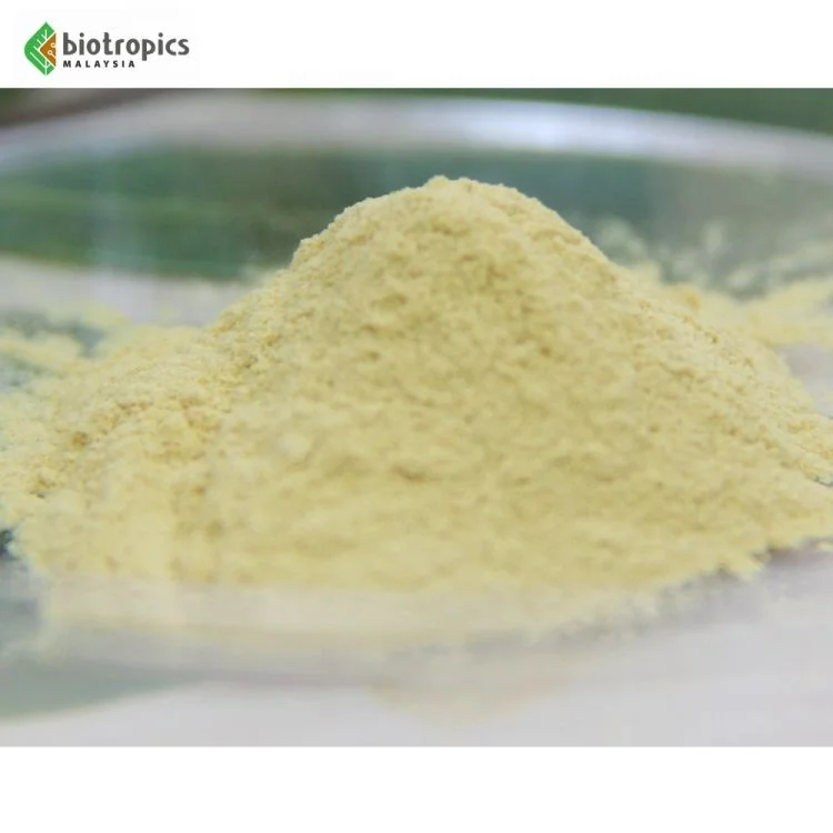 New Tongkat Ali 100% Root Extract Powder from Malaysia Halal Ready to Formulate into Food & Drinks