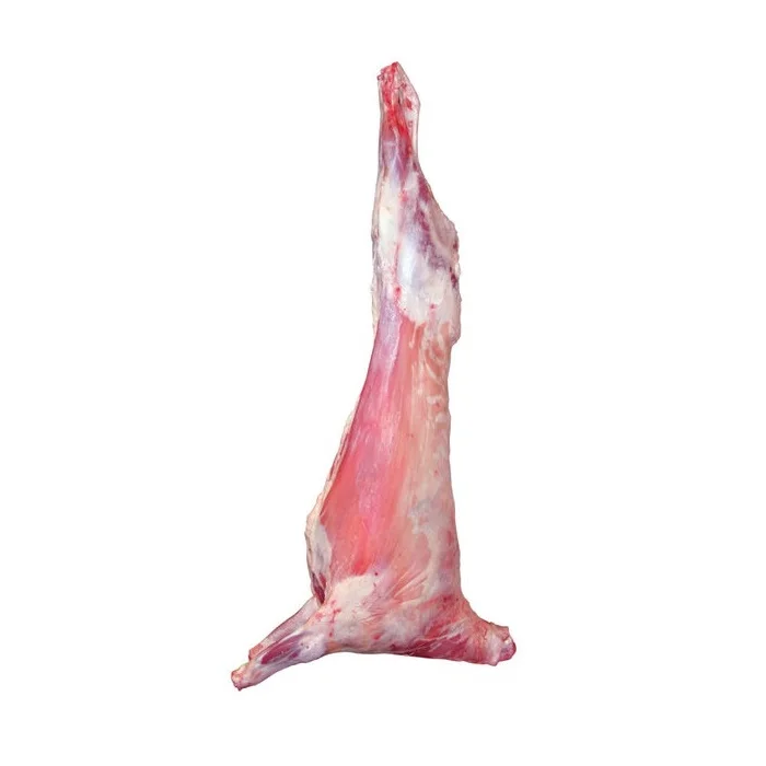 Lamb meat halal mutton meat