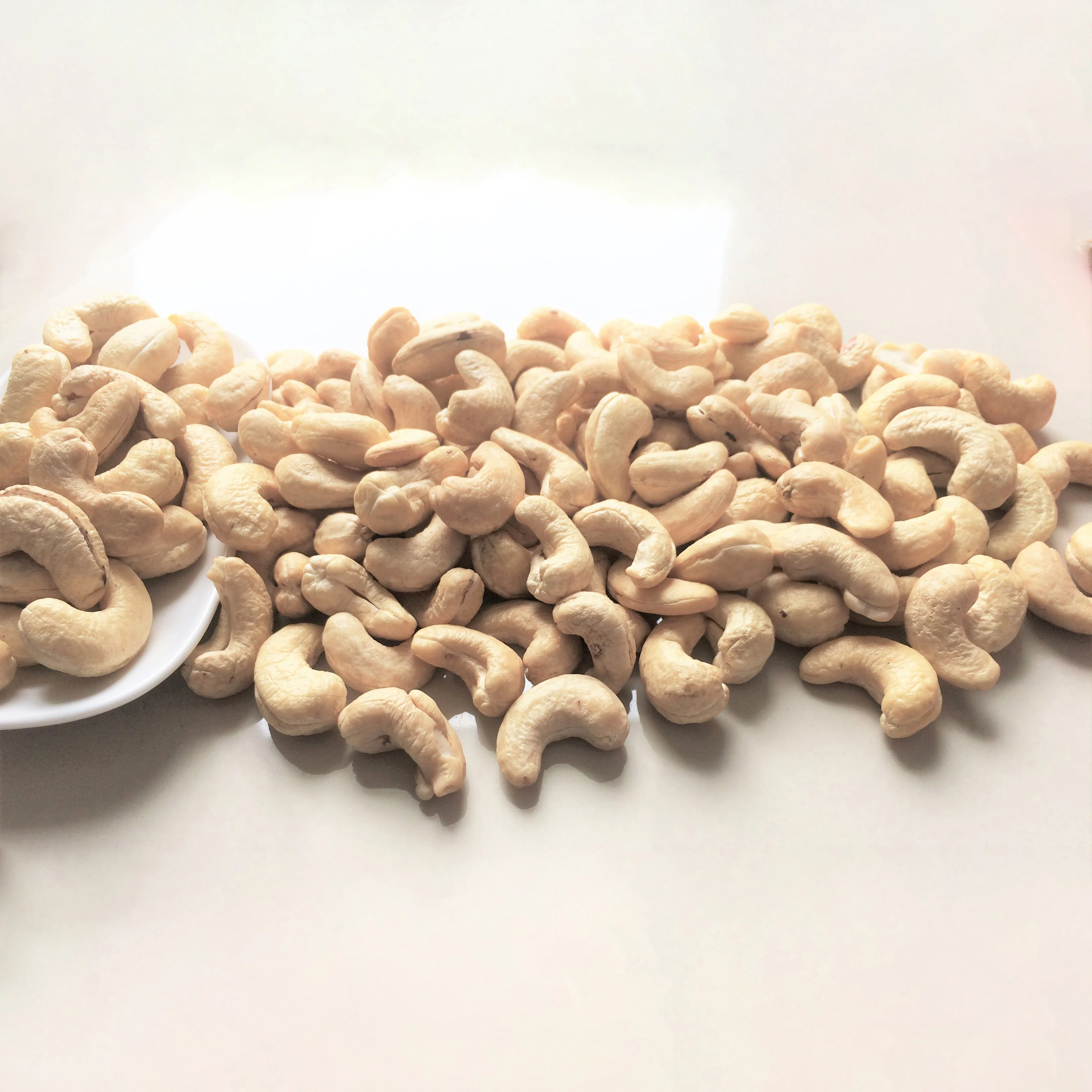 Healthy Food Premium Cashew Nuts W210 Vietnam Wholesale Standard Company High Quality Raw Cashews Products In Bulk Nuts Kernels