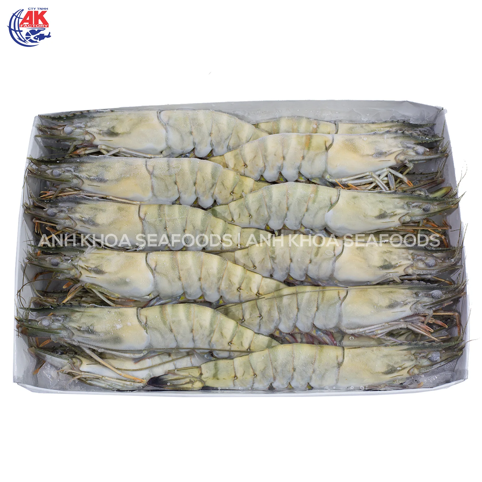 BEST SELLER! OFFER Frozen Black Tiger Shrimp at PERFECT QUALITY | IQF Frozen Black Tiger Shrimp Head on shell on | HOSO