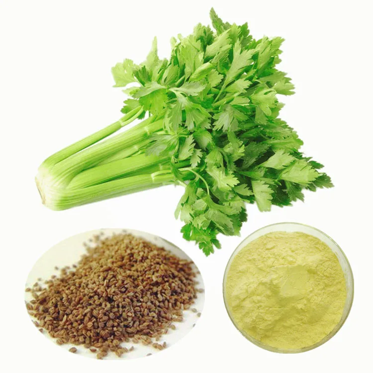 Organic Celery Juice Powder 98% Apigenin plant extract celery juice powder