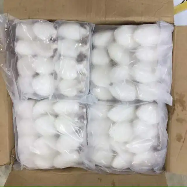 
FROZEN BABY CUTTLEFISH FROM VIET NAM 