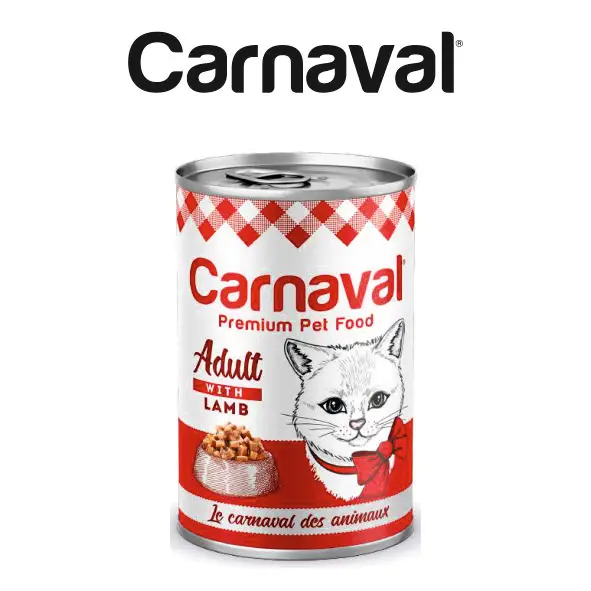 Canned Premium Pet Food with Chicken Flavor Gravy for Pet Kitten 8.7% Protein - 400 Gr (12 PCS)