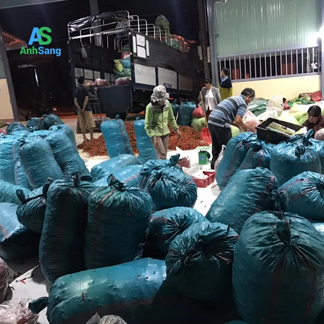 
Vietnamese Fresh Chili Is Guaranteed To Be Super Spicy 