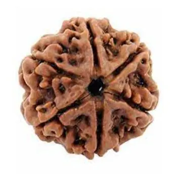 Wholesale Natural 6 six Mukhi  Rudraksha Jap Mala Manufacturer Handcraft Handmade Product India 2021 Jap mala rudraksh