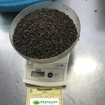 BLACK PEPPER WELL DRIED HOT SALE FROM KINGPEPPER | Ms Lynn +84333 421 999