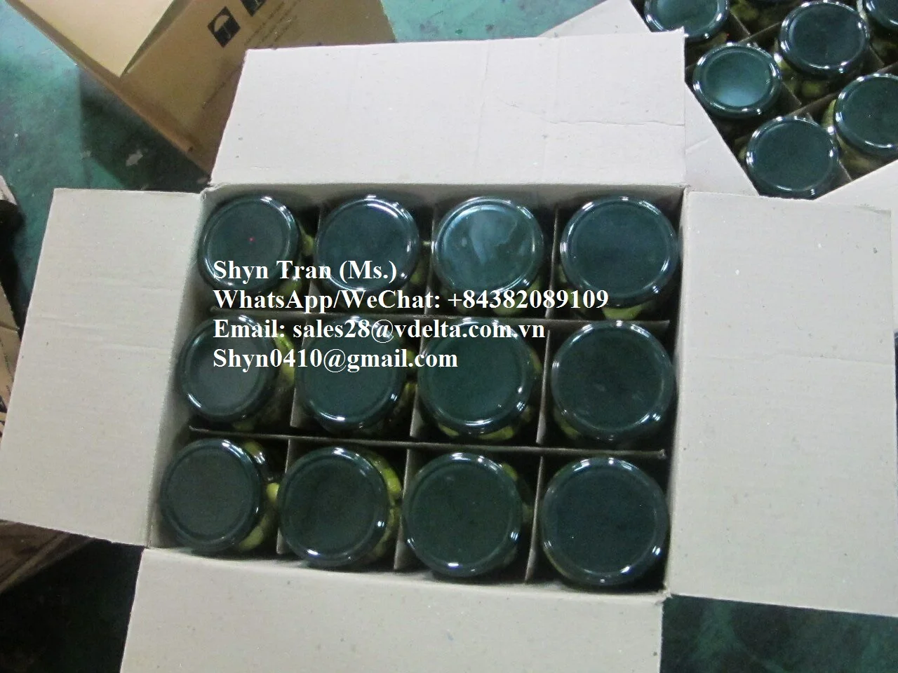 Pickled Baby Cucumber // Gherkins, Cornichon //Shyn Tran +84382089109