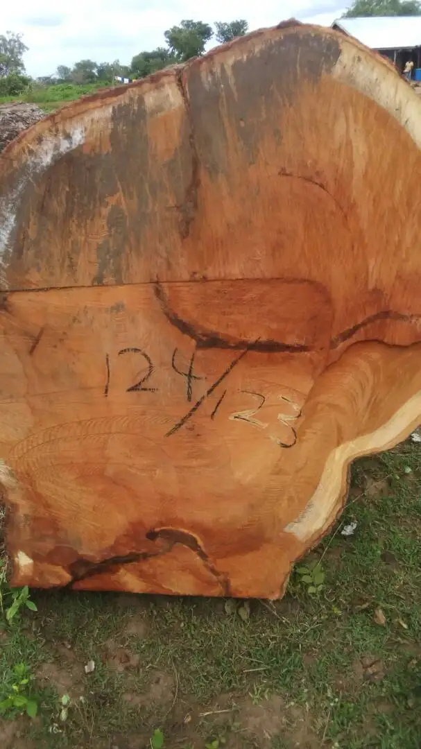 Papao or Afzelia Logs High Quality Afzelia Wood Logs Teak Timber