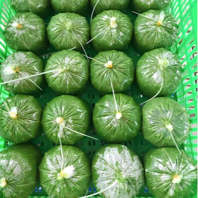 
CASSAVA LEAVES FROZEN GROUND CASSAVA LEAVES 