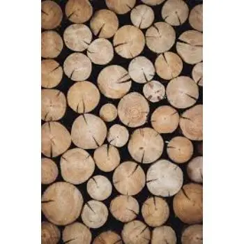 images (10).jfif.jpg