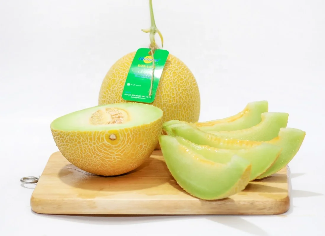 Unifarm Fresh Cantaloupe Type Muskmelon made in Vietnam