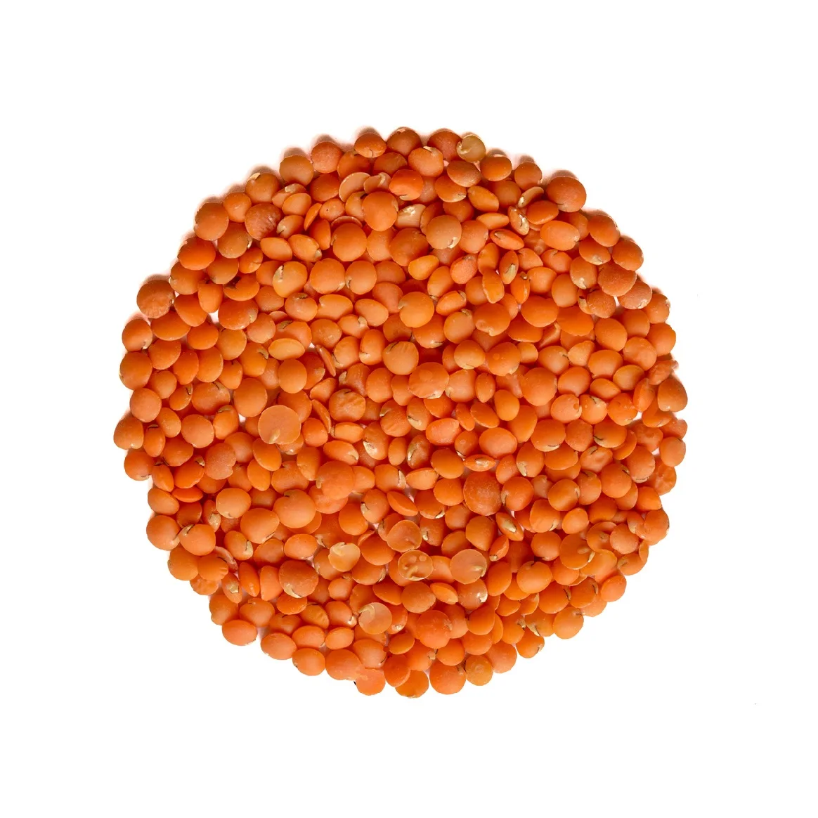 
Organic red lentils, wholesale priced lentils beans 