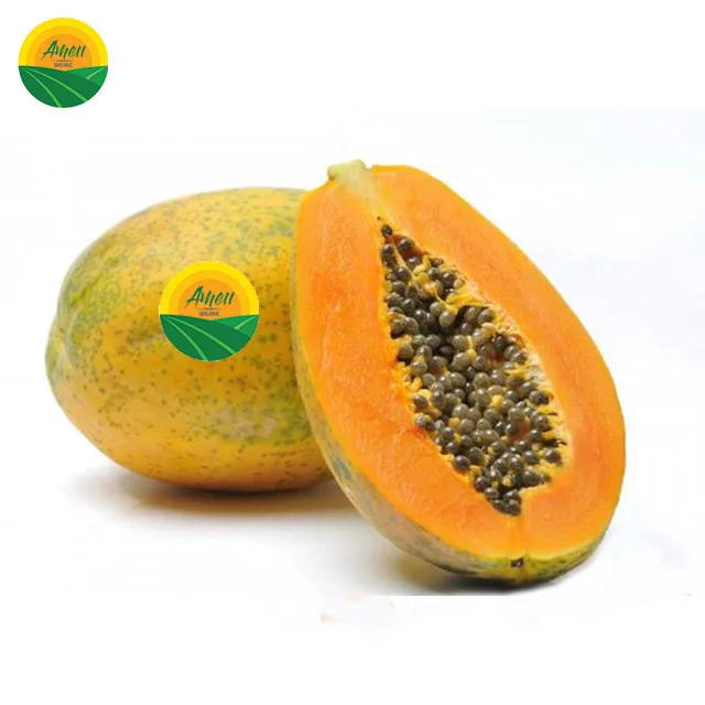FRESH PAPAYA FOR SALE WITH BEST PRICE