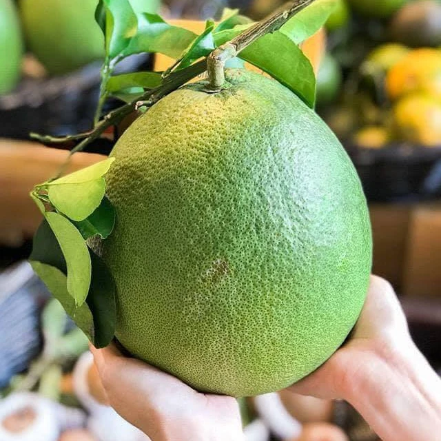 The Best Price 2022, Fresh Pomelo In Vietnam, Green pomelo/Grapefruit Green Outside And Red Inside
