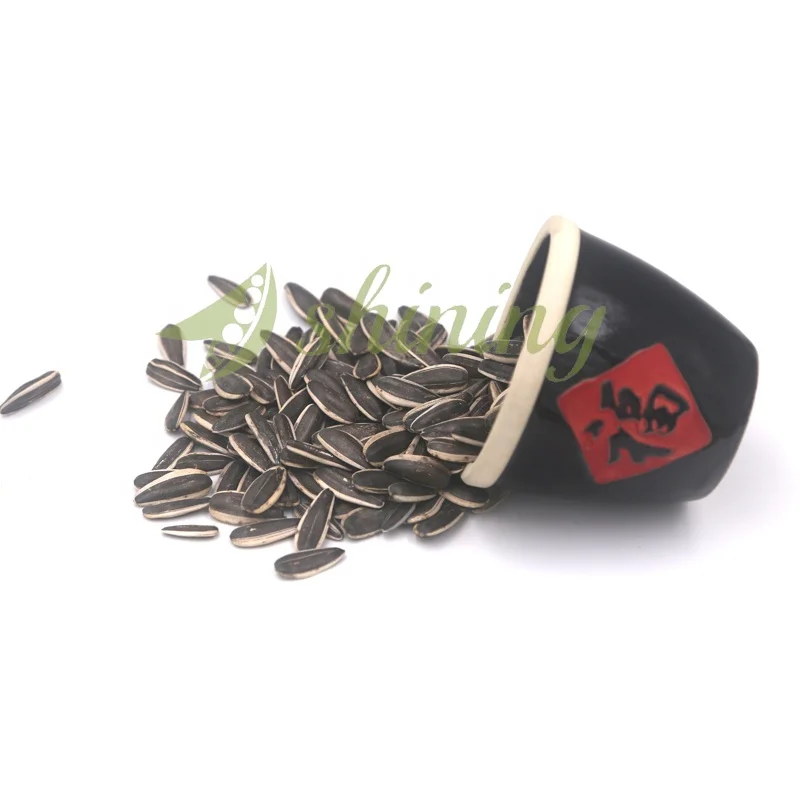 Китайские семена черного подсолнечника большого размера